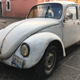 Illustration for article titled The Beetles and Other Cars of Puebla But Especially the Beetles